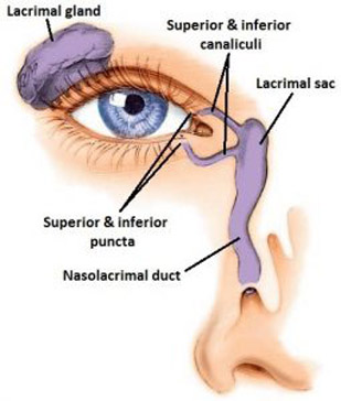 LACRIMAL DUCT SURGERY